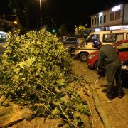 12.06.2014 - Caduta albero Mestrino 1